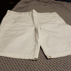 Chino Shorts